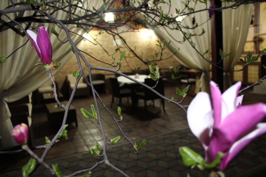 Pensiunea Normandia Timişoara Buitenkant foto